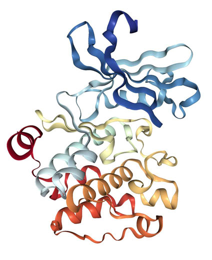 X-ray structure of PIM1 kinase