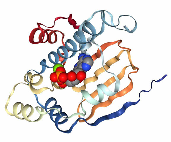X-ray structure of HSP90